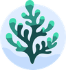 Alge.ai Logo